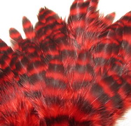 ������� ���� Hen feathers ������ �������